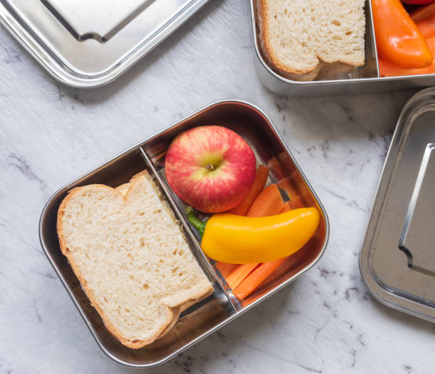 5 Reasons Why Stainless Steel Lunch Boxes Are A Wonderful Choice