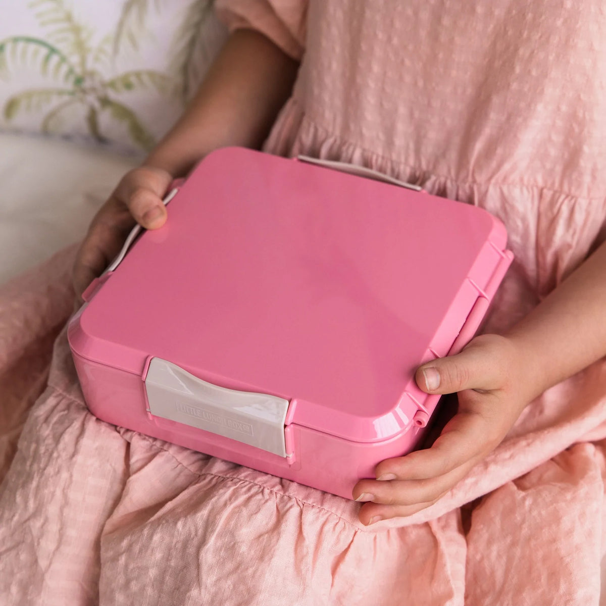 Pink Color Lunch Box Blush Pink Boxes Are Cute And Pretty - The Lunchbox Collection