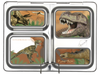 PlanetBox LAUNCH Magnets - Heaps of Options to choose from! - The Lunchbox Collection