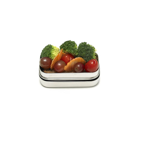 Meals In Steel Stainless Steel Snack box - SMALL - The Lunchbox Collection